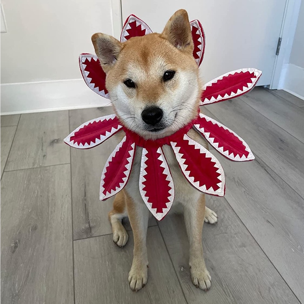 Demon Dog Halloween Costume (Headband)